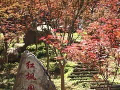-广州市帽峰山景区
