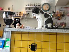 -22cafe