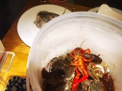-蟹将军·松叶蟹和牛日料放题自助(K11店)