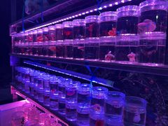 -华声天桥民俗文化园