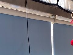 -中国农业大学动物医院