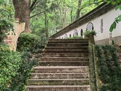 -上海佘山国家森林公园天马山园