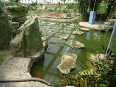 景点-观光南瓜园