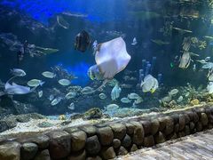 -华夏文旅海洋公园