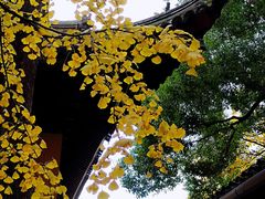 -西园戒幢律寺
