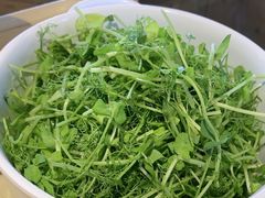 -中粮·祥云小镇