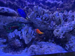 -北戴河圣蓝海洋公园