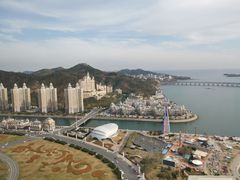 -大连君悦酒店·星海湾壹号Dalian·Dalian(星海广场店)