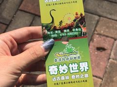 -森波拉奇妙世界