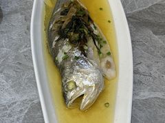 -老绍兴养和饭店(向阳不夜城店)