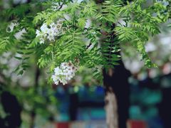 -北京石刻艺术博物馆
