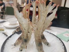 -帝皇海海鲜豆捞(桐泾商务广场店)