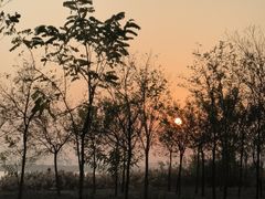 -天津东丽湖风景区