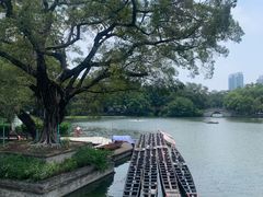 -荔湾湖公园