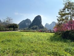 -明仕田园