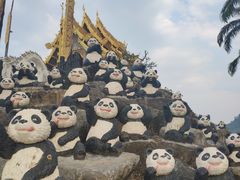 -东芭乐园