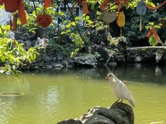 -善卷洞风景区