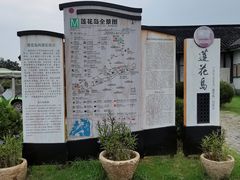 -莲花岛景区