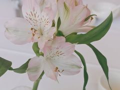 -眉州东坡(通州店)