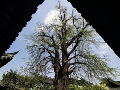 -常熟方塔园