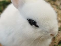 -宝龙广场(蓬莱区)