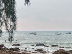 -西涌国际滨海旅游区