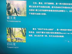 -世界恐龙谷景区