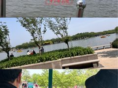 -石家庄市植物园