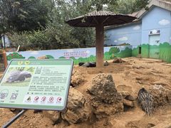 -石家庄市动物园