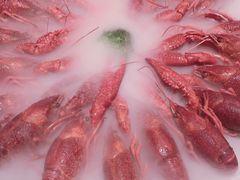 -红盔甲·小龙虾(天钥桥店)