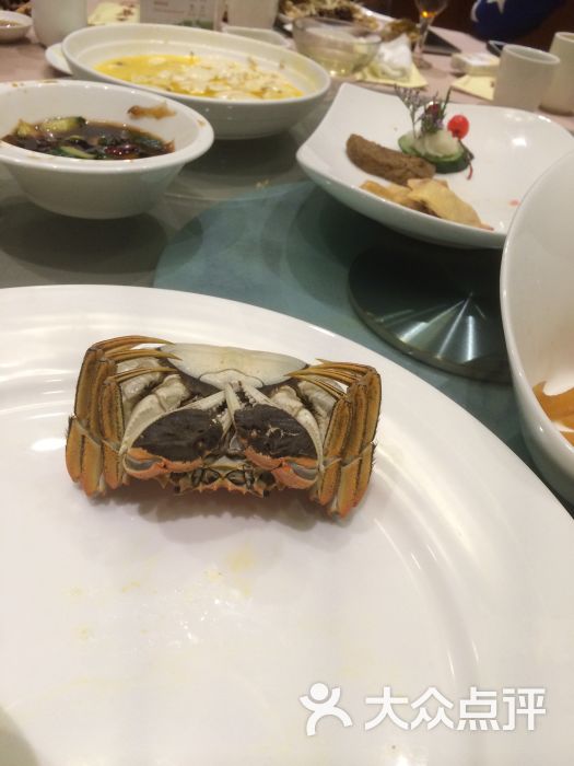 王宝和酒家的点评