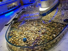 -澜悦港海鲜体验主题餐厅