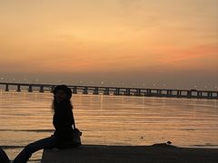 -宝安西湾红树林湿地公园