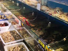 -颐和海鲜饺子