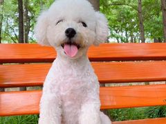 -八公叔叔宠物美容连锁(春申店)