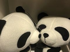 -熊猫屋(宽窄巷子景区店)