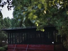 -玉苍山国家森林公园