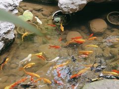 -绣园·茶食宴(湘绣博物馆店)