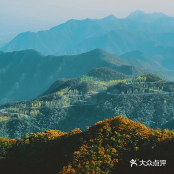 行车走在通往水洪池村子的路上,窗外茂密的丛林