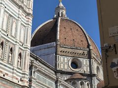 -圣母百花大教堂穹顶