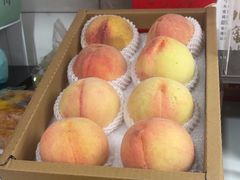 -老袁家蜜桃农场·阳山水蜜桃