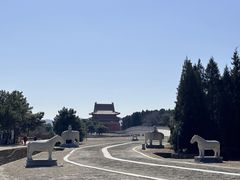 -清东陵