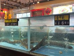 -乡里八闽·福州乡土菜(火车北站店)