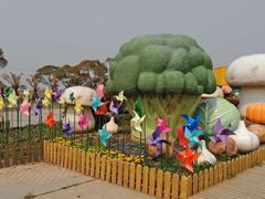 -上海都市菜园