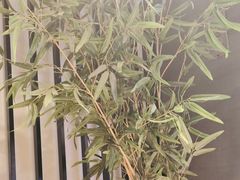 -秦门西安小馆(顺义店)