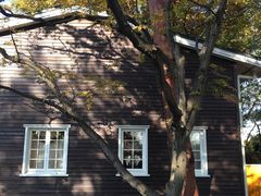 -三鹰之森吉卜力美术馆