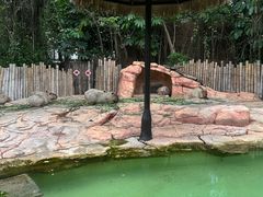 -珠海长隆海洋王国