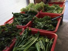 -重庆特色冷锅鱼(武大店)