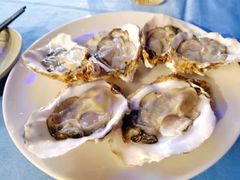 -千岛蚝高压锅生蚝·人参火锅(白云万达店)