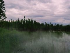 -白鹭湾湿地公园